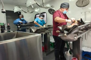 IMG-20260731-WA0158