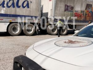 Photo_1783531464926