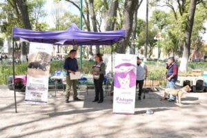 IMG-20260812-WA0188