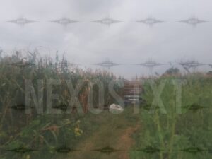 Photo_1787110083233