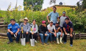 IMG-20261001-WA0138