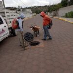 Continúan trabajos de mantenimiento en la red de drenaje en Tequexquitla 